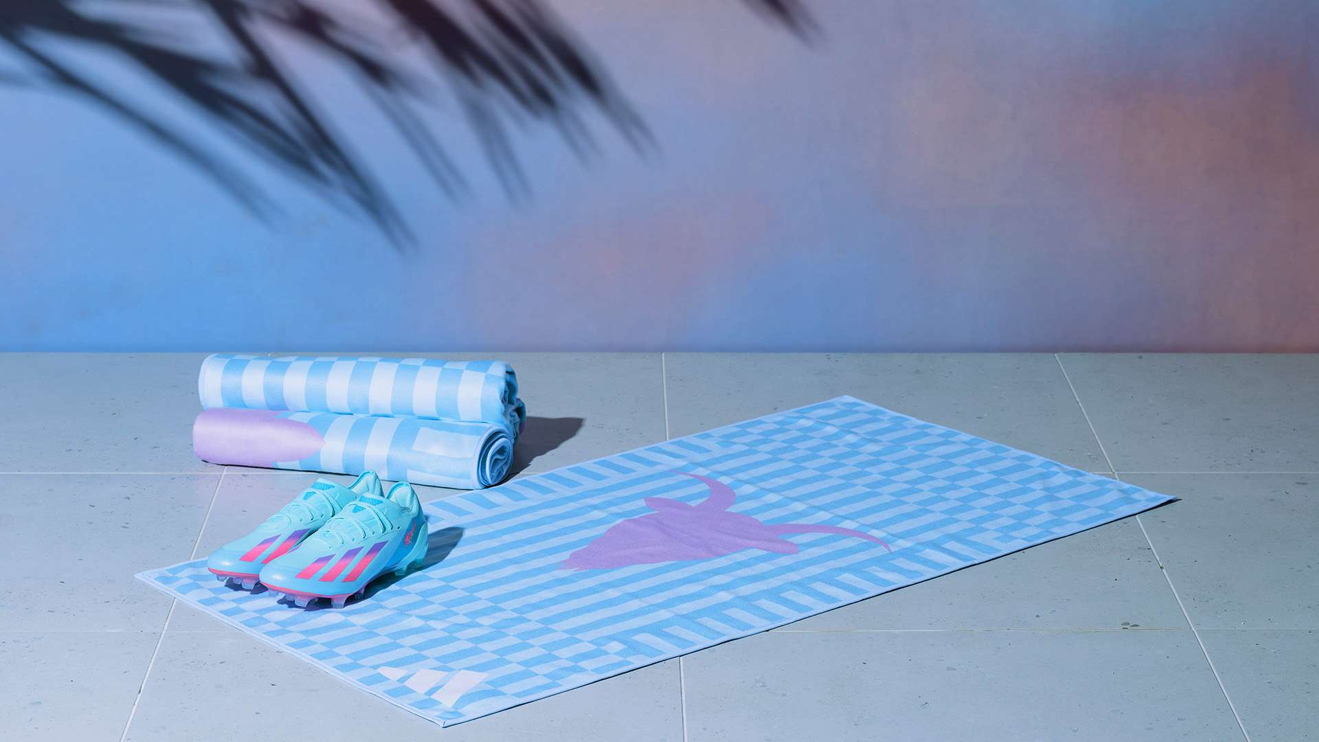 他不仅能在 他不仅能在