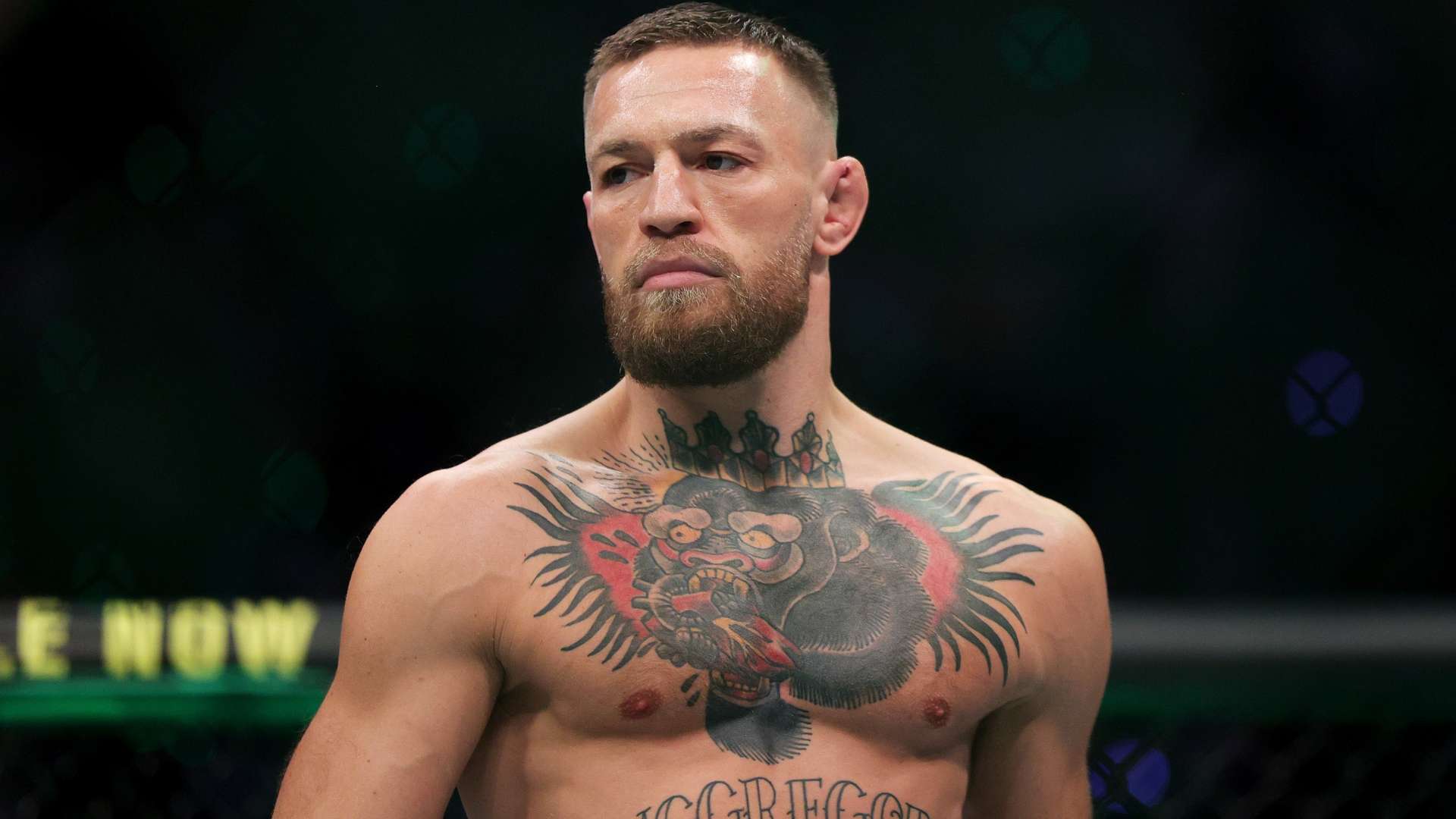 应对外界的 应对外界的